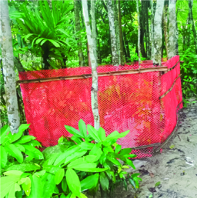 Image of মো: শাহীন বাড়ি